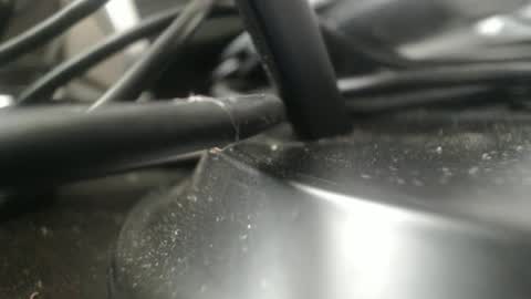 Snapshot of stewpididiot chatting on 09.11.25 Stew Pididiot online show from 09.11.25