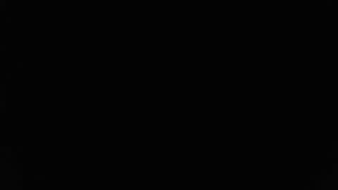 Snapshot of stewpididiot chatting on 02.11.26 Stew Pididiot online show from 02.11.26