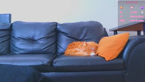 Stiven Montiel online show from 01.09.26