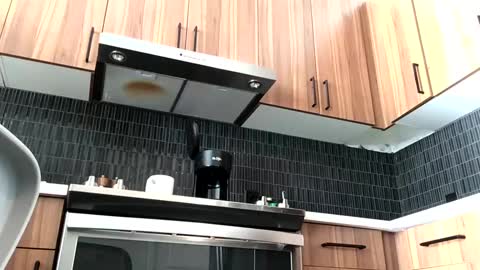 stlhotwifeguy online show from 02.14.25