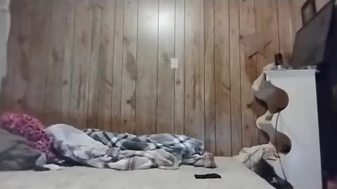 Snapshot of straighttoy chatting on 03.03.25 straighttoy online show from 03.03.25