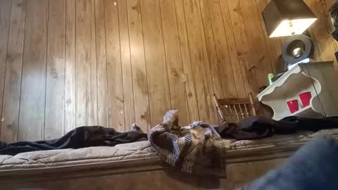 Snapshot of straighttoy chatting on 11.03.25 straighttoy online show from 11.03.25