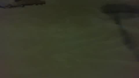 Snapshot of stratocatster chatting on 01.11.25 stratocatster online show from 01.11.25