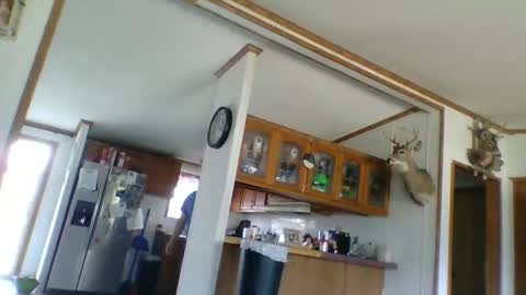 strokenmycock78 online show from 03.28.26