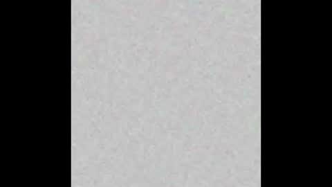 stud4cougar online show from 11.26.25