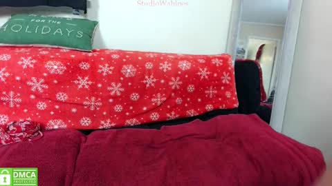 Snapshot of studiowahines chatting on 12.26.24 StudioWahines online show from 12.26.24