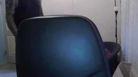 stugang online show from 02.17.26