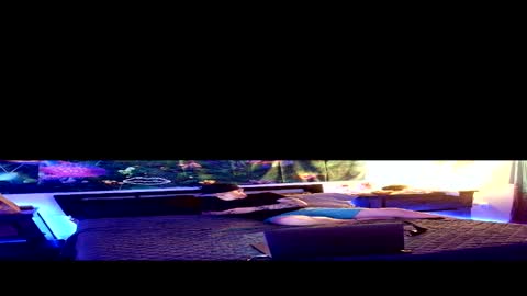 Stycock88 online show from 03.02.26