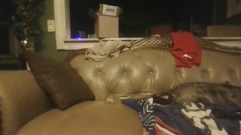 sub_michael41 online show from 12.21.24