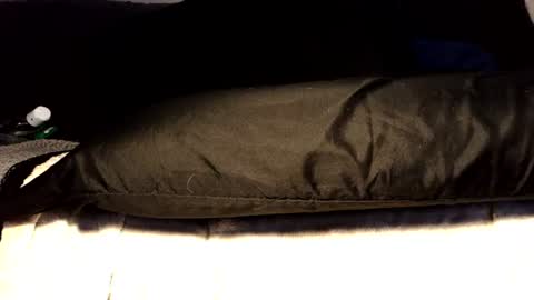 Snapshot of submissiveforu chatting on 06.17.26 between my legs online show from 06.17.26