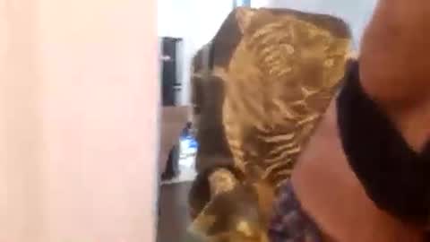 Cuteipie online show from 12.29.24