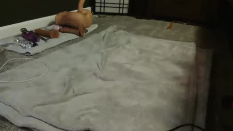 Suga cookie online show from 12.09.24