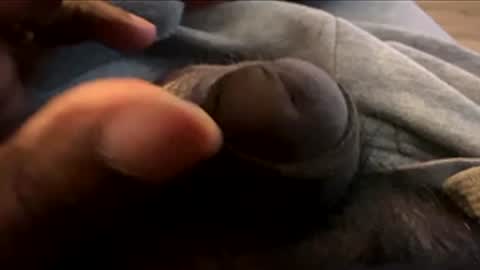 Let me be your knight that saves you online show from 01.07.26