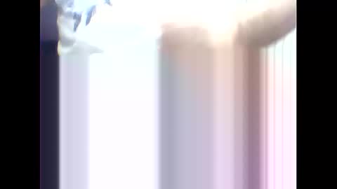 Snapshot of suleyman38 chatting on 02.17.25 suleyman38 online show from 02.17.25