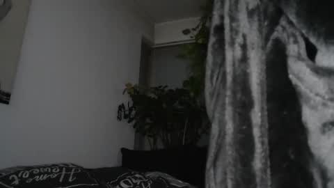 s online show from 12.17.24