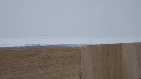 Snapshot of sunshine_days chatting on 10.06.25 Annie online show from 10.06.25