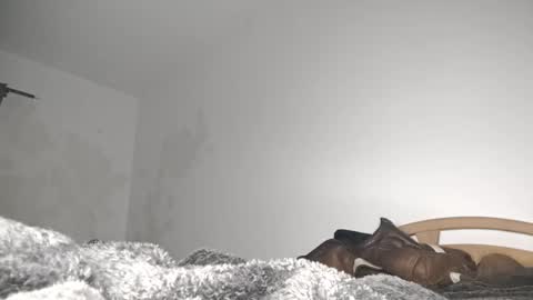 Snapshot of suzuki1250 chatting on 03.06.26 suzuki1250 online show from 03.06.26