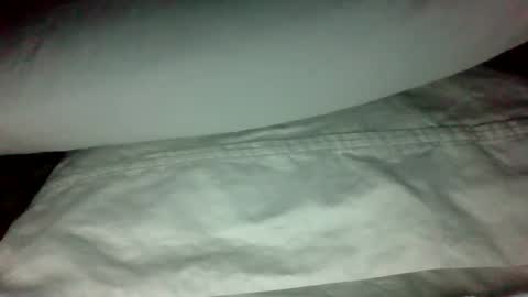 Snapshot of swampdonkey419 chatting on 02.19.25 swampdonkey419 online show from 02.19.25