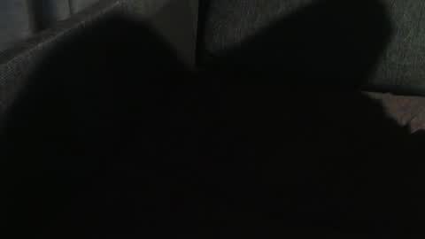 ArnSwart online show from 01.07.25