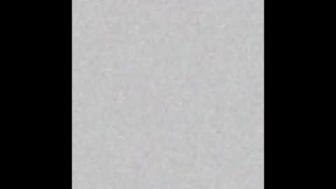 Eva and Tim online show from 10.26.25