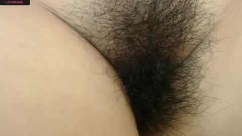 Barbara online show from 01.12.26