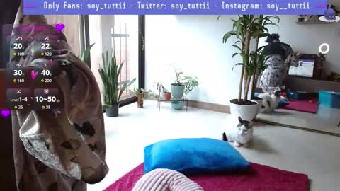 Tutti  online show from 01.12.26