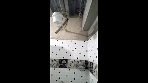 Nhaomy online show from 12.19.25