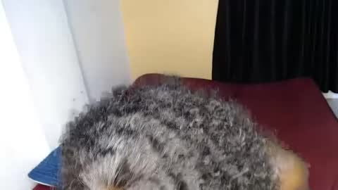 Snapshot of sweet_sherie chatting on 09.30.25 ellanah Tracie online show from 09.30.25