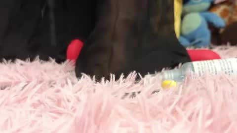  Sweet  online show from 05.06.26