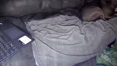 Snapshot of sweetgesus chatting on 01.05.25 sweetgesus online show from 01.05.25