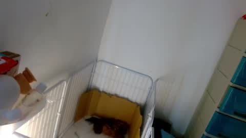 Snapshot of sweetlilly_18 chatting on 01.07.25 Lilly online show from 01.07.25