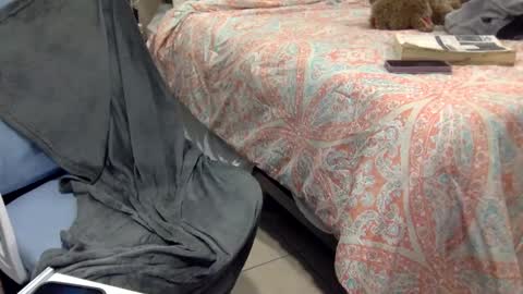 Snapshot of sweetnsexy95 chatting on 02.20.25 WeAim2PZzz online show from 02.20.25