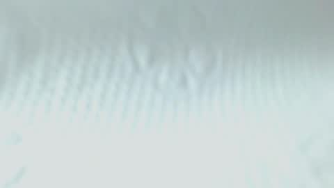 Snapshot of sweetnwildts chatting on 05.20.26 Ghena online show from 05.20.26