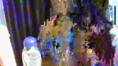 sweet online show from 12.17.25