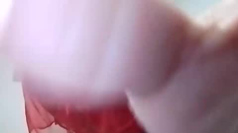 sweetwendi15 online show from 02.08.25