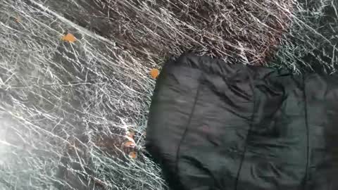 - allen online show from 11.08.25