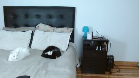 Snapshot of sweetyiris chatting on 12.14.25 iris online show from 12.14.25