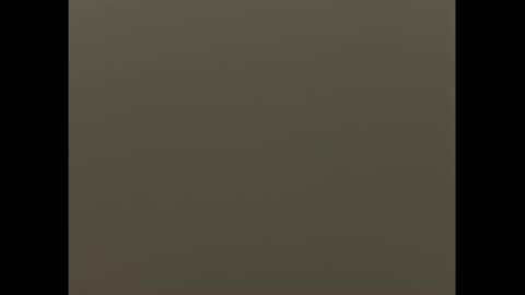 swimjock92262 online show from 03.09.25