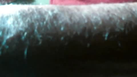 Snapshot of swizzle__stick chatting on 04.29.26 will jeffers online show from 04.29.26