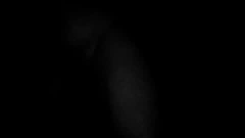 swollpole2112 online show from 03.10.26