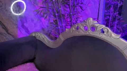 Sydney online show from 04.01.26