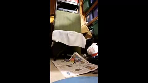 syevecrl online show from 05.11.26
