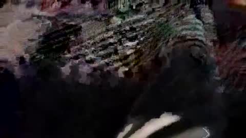 Canon online show from 03.21.26