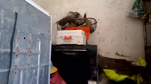 tadfn online show from 02.27.26