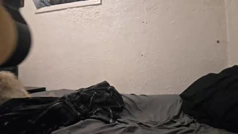 Talen James online show from 04.18.26