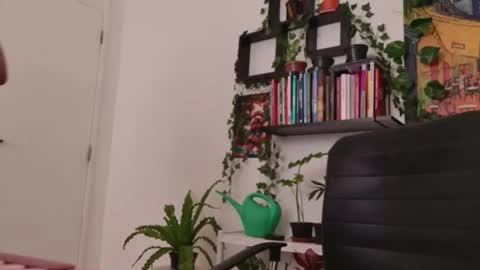 Tali Majid online show from 01.06.26