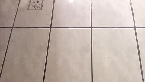 Snapshot of tall6feet7inch chatting on 10.01.25 tall6feet7inch online show from 10.01.25