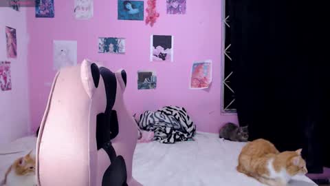 Snapshot of tamako_kitty__ chatting on 12.14.24 Alejandra Independent model online show from 12.14.24