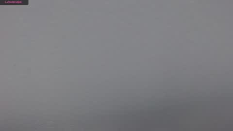 Snapshot of tamara_aa chatting on 02.08.25 Tamara online show from 02.08.25