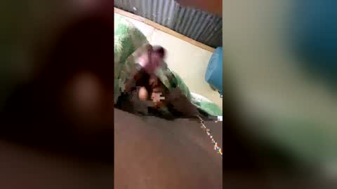 tamlindo online show from 04.12.26